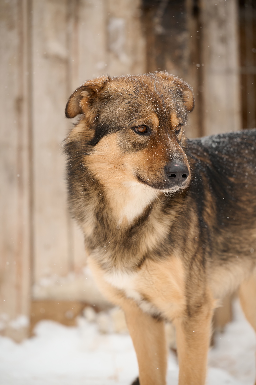 ph: Анна Молодожён