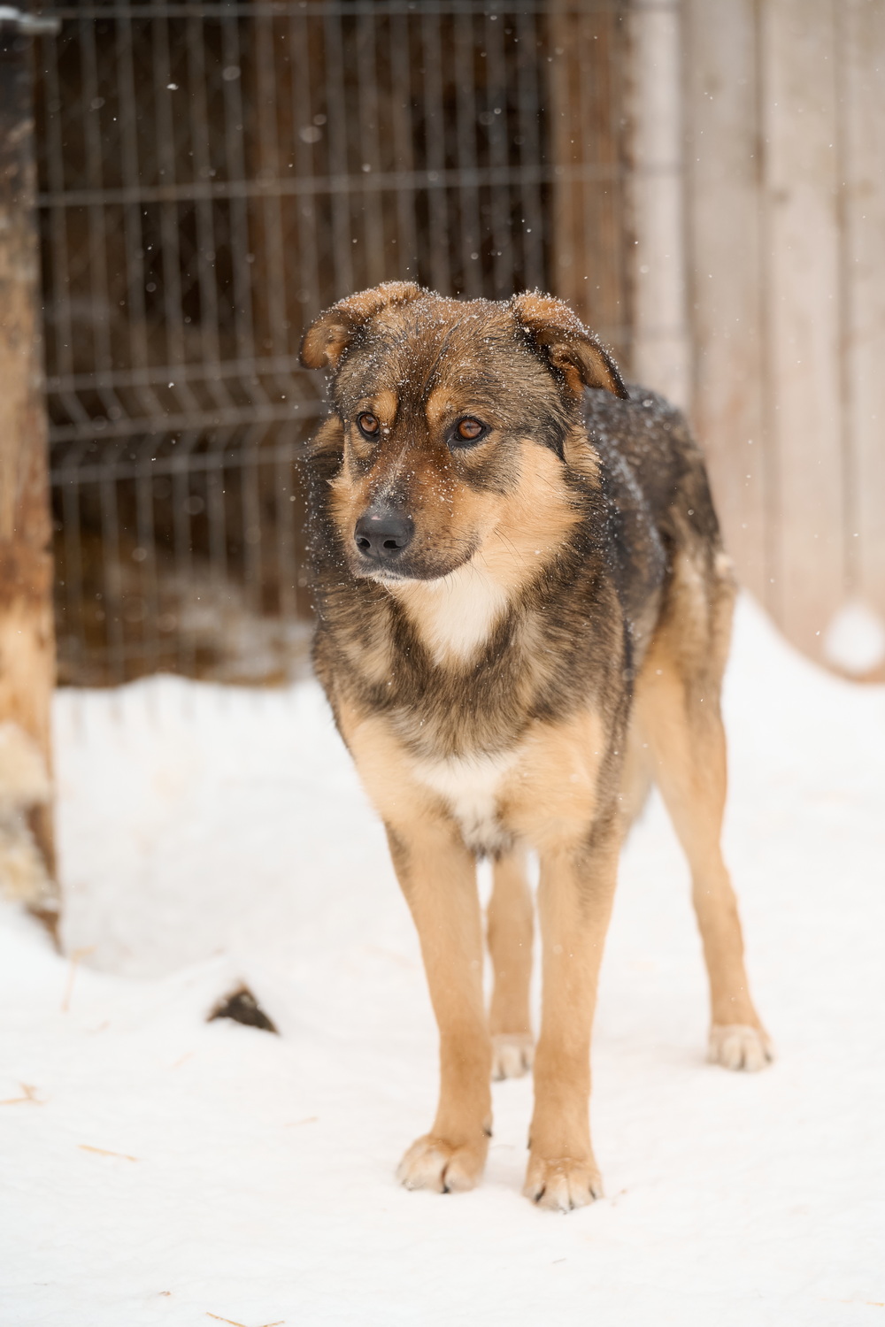 ph: Анна Молодожён