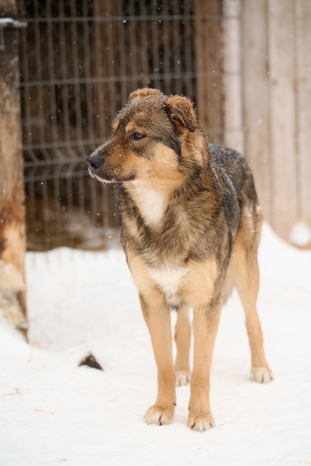 ph: Анна Молодожён