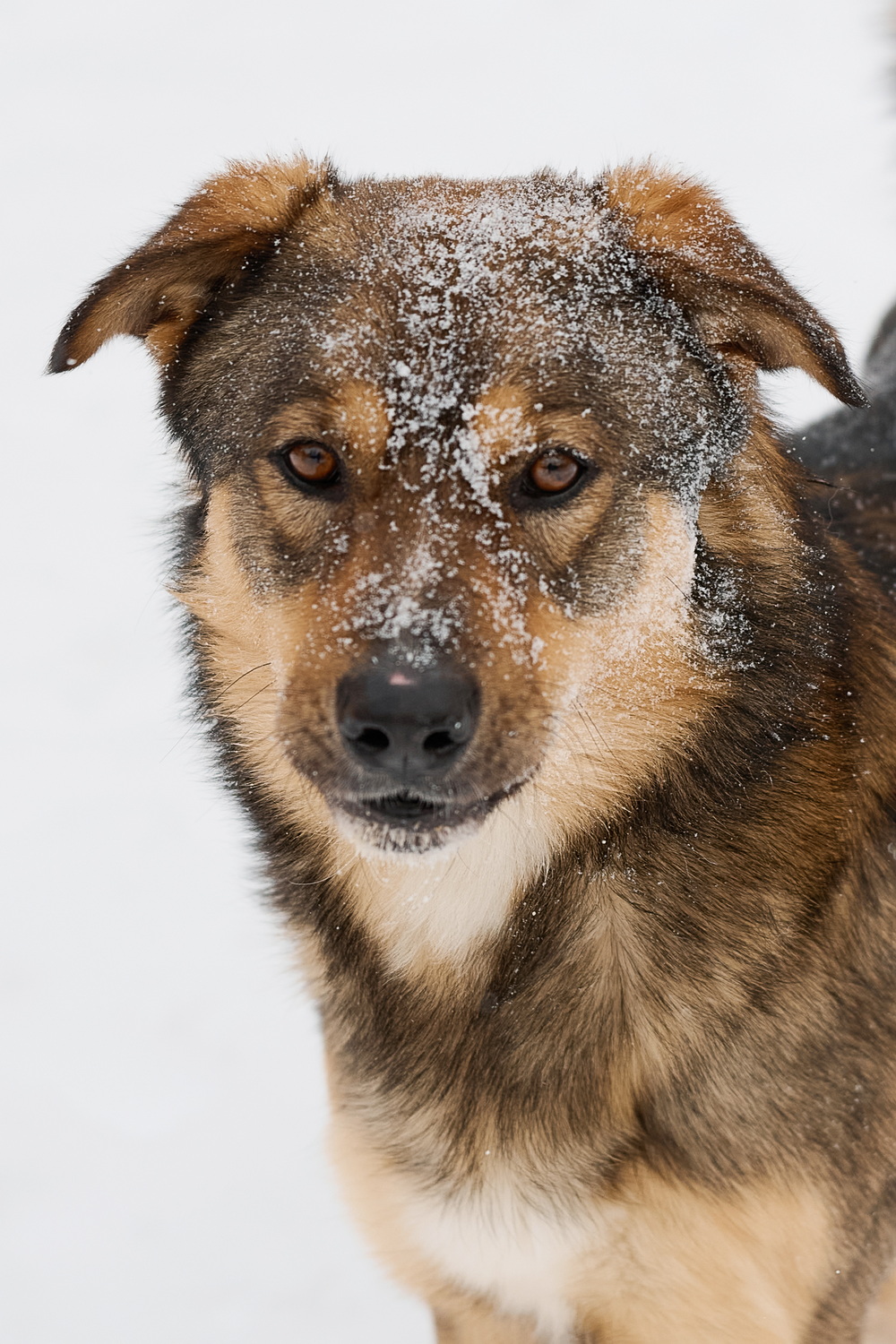 ph: Анна Молодожён