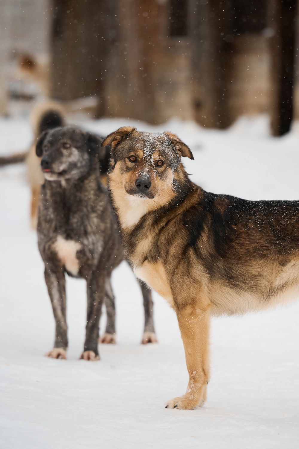ph: Анна Молодожён