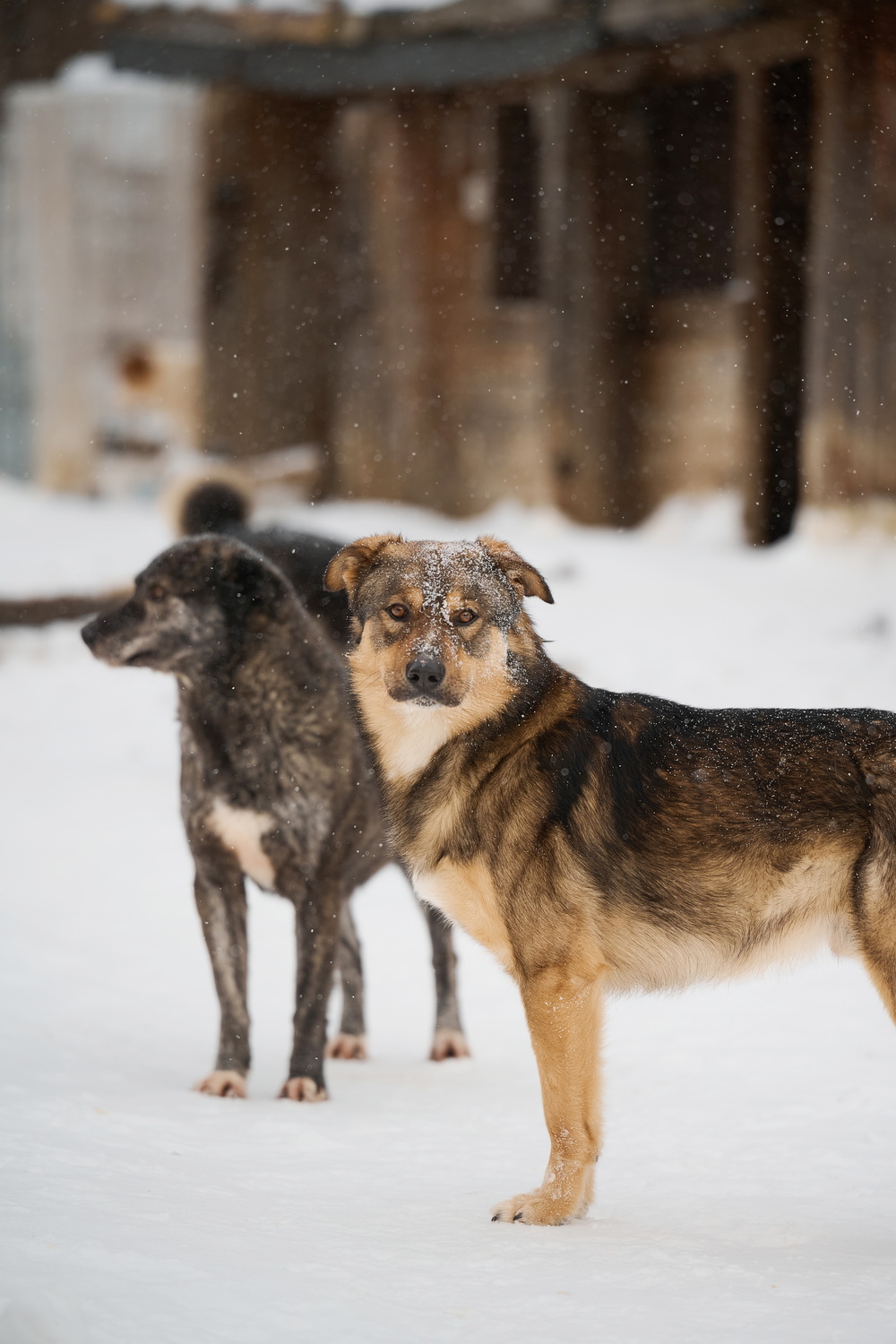 ph: Анна Молодожён