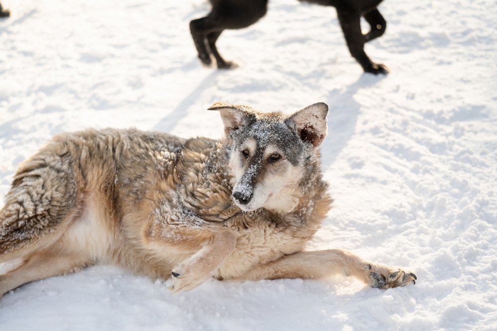 ph: Анна Молодожён