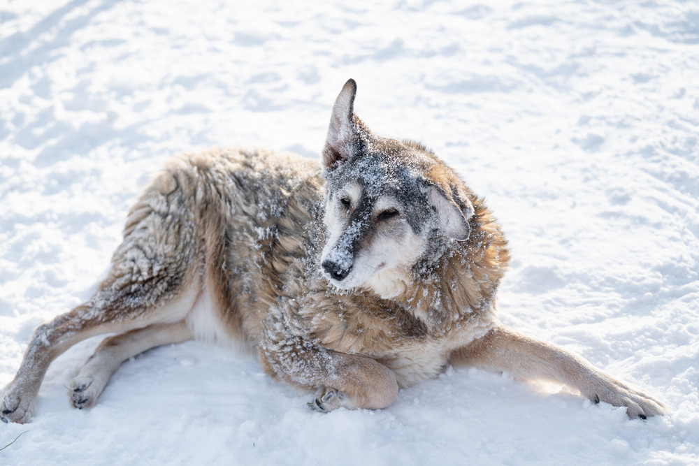 ph: Анна Молодожён