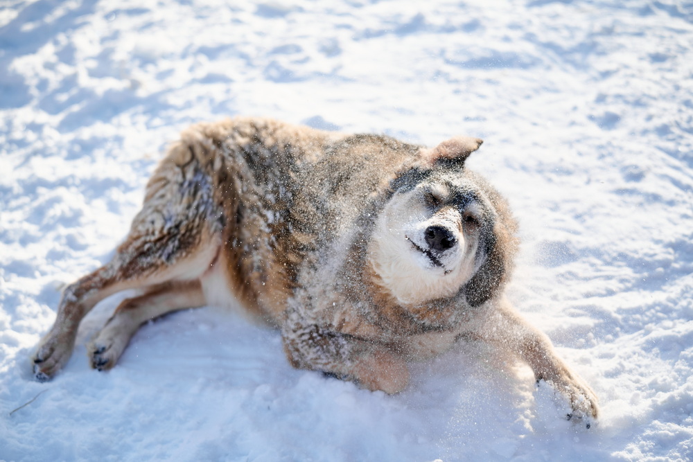 ph: Анна Молодожён