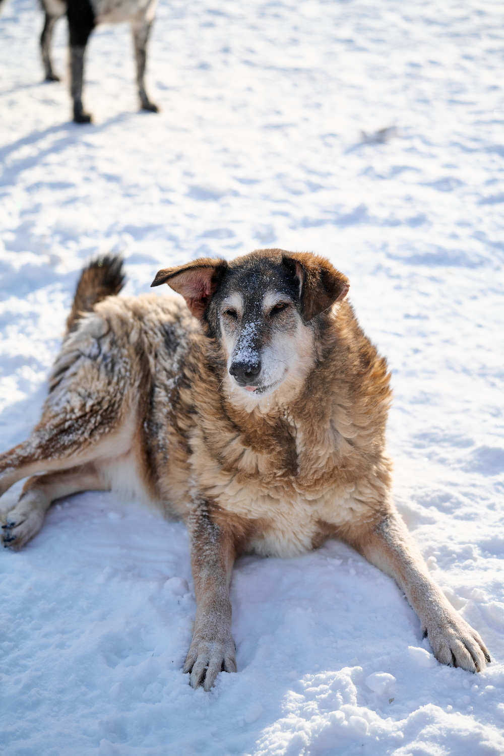 ph: Анна Молодожён