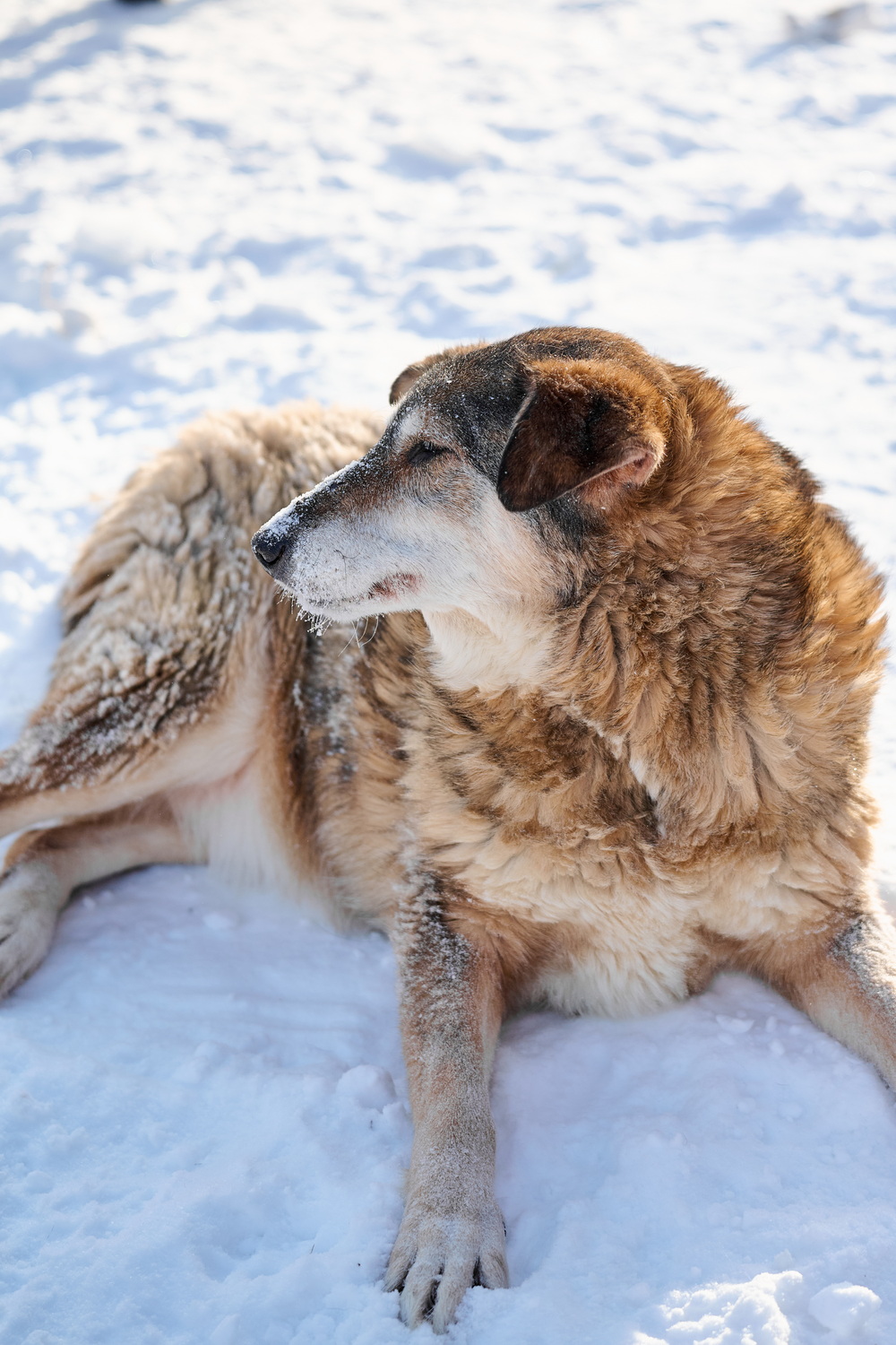 ph: Анна Молодожён