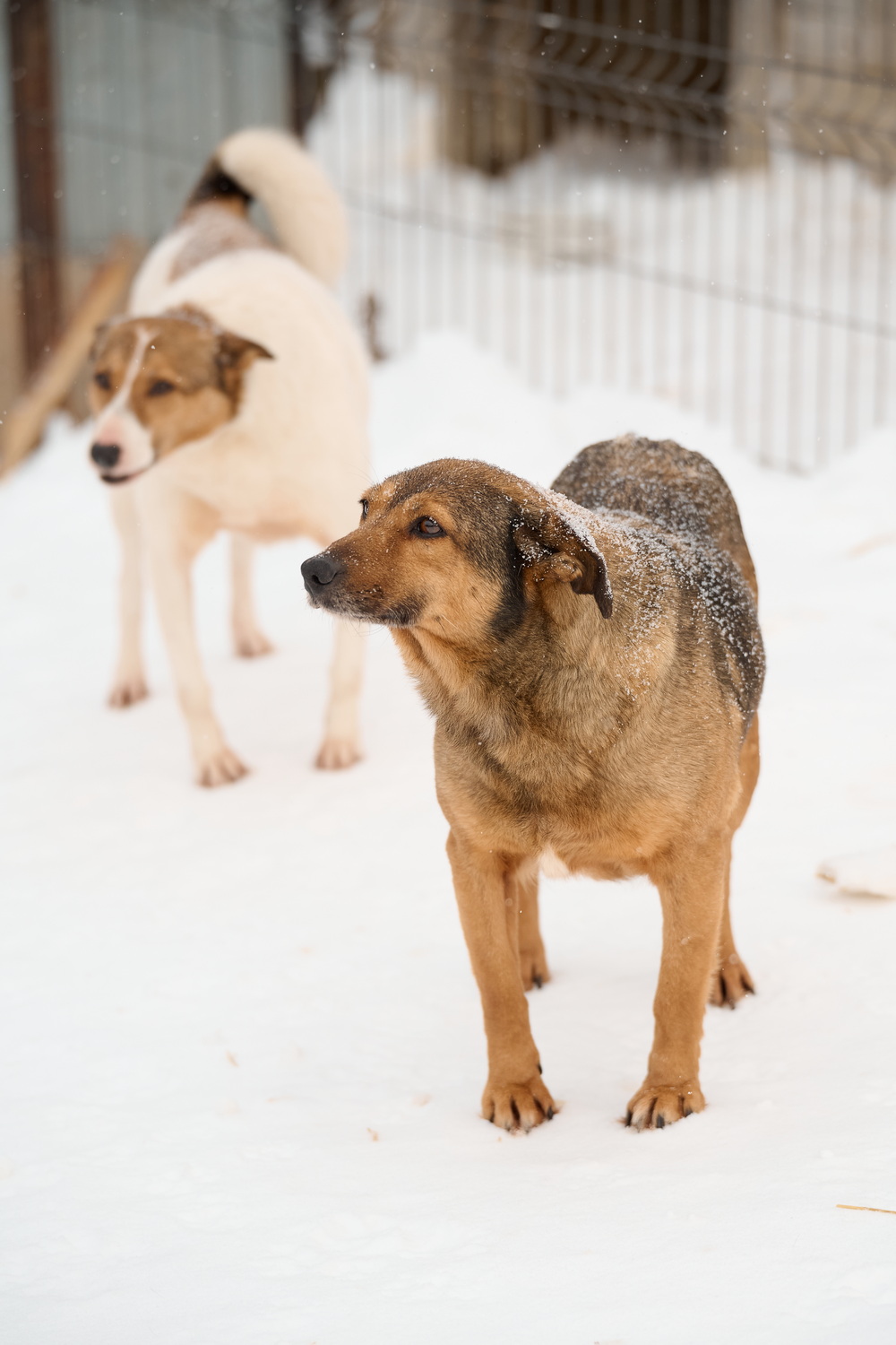 ph: Анна Молодожён