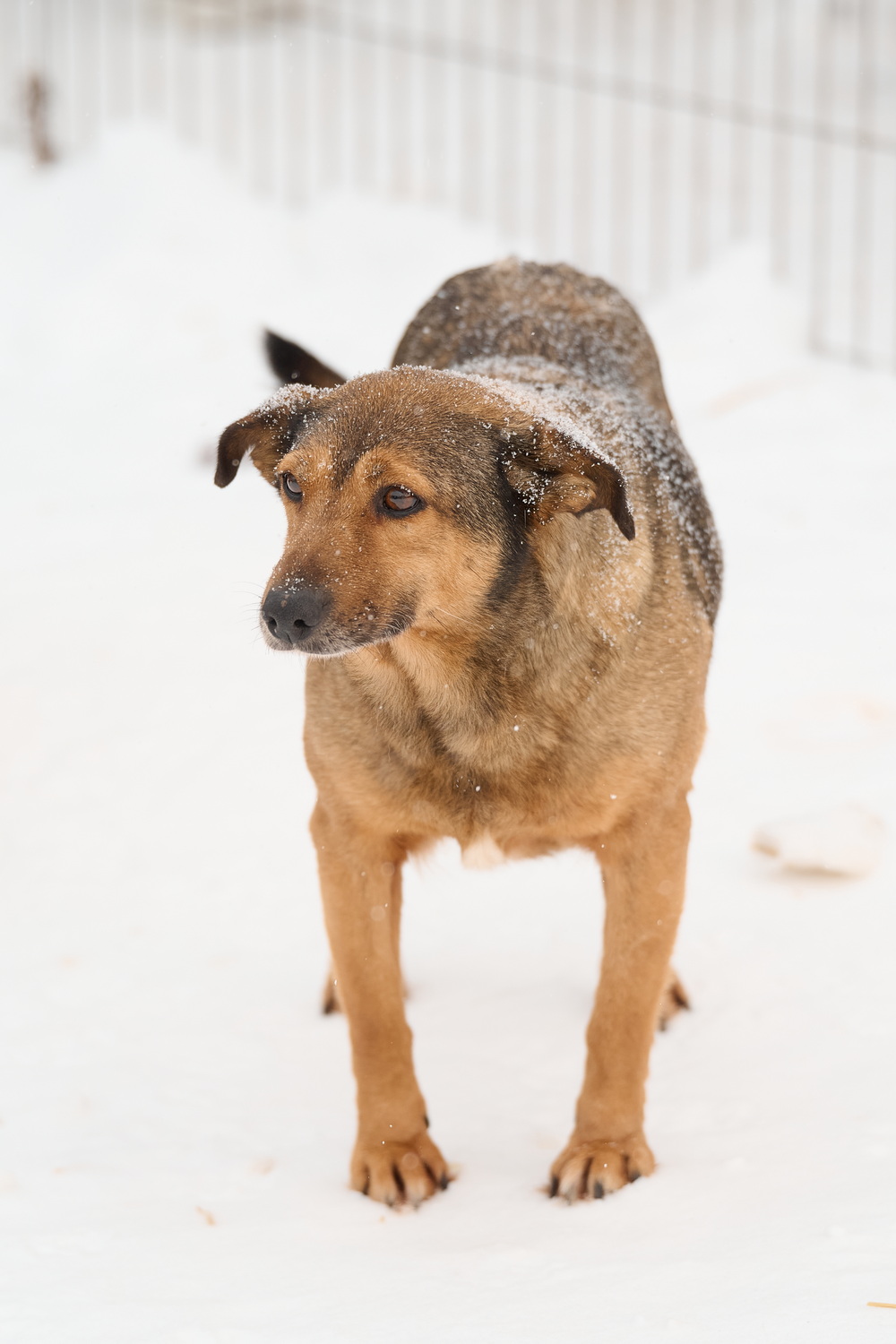 ph: Анна Молодожён