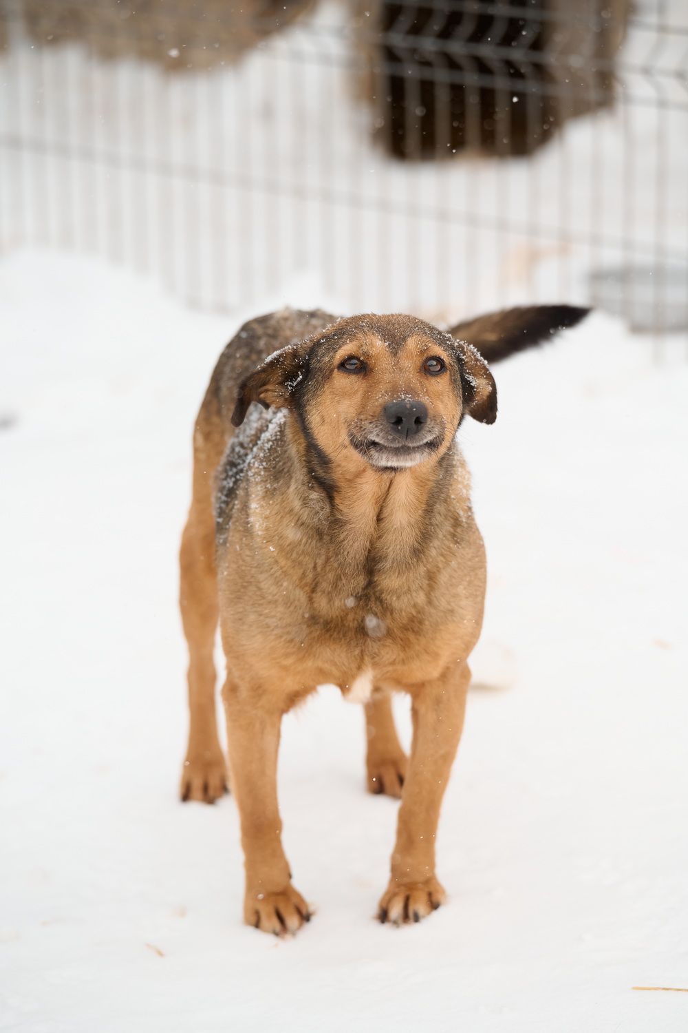 ph: Анна Молодожён
