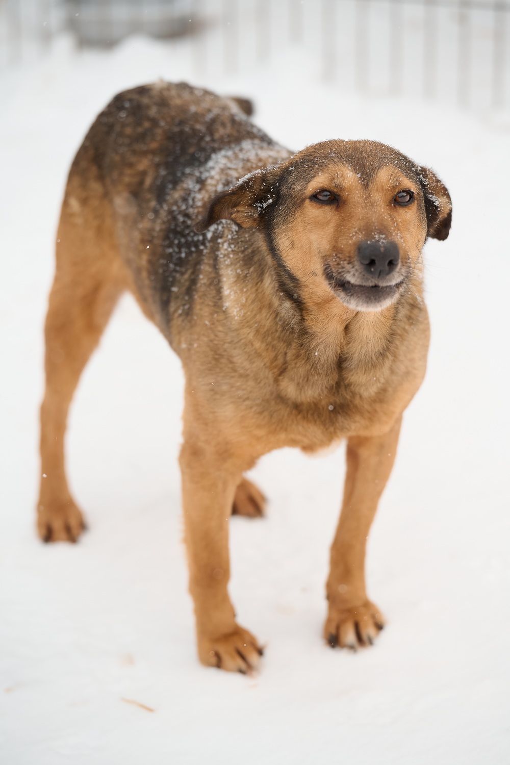 ph: Анна Молодожён