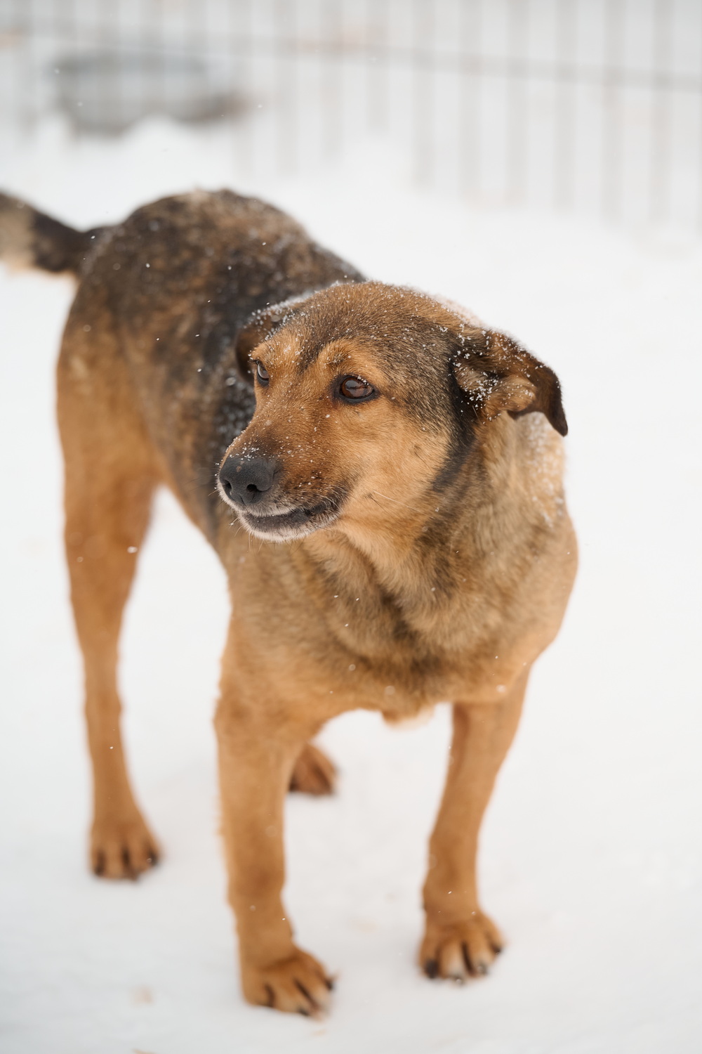 ph: Анна Молодожён