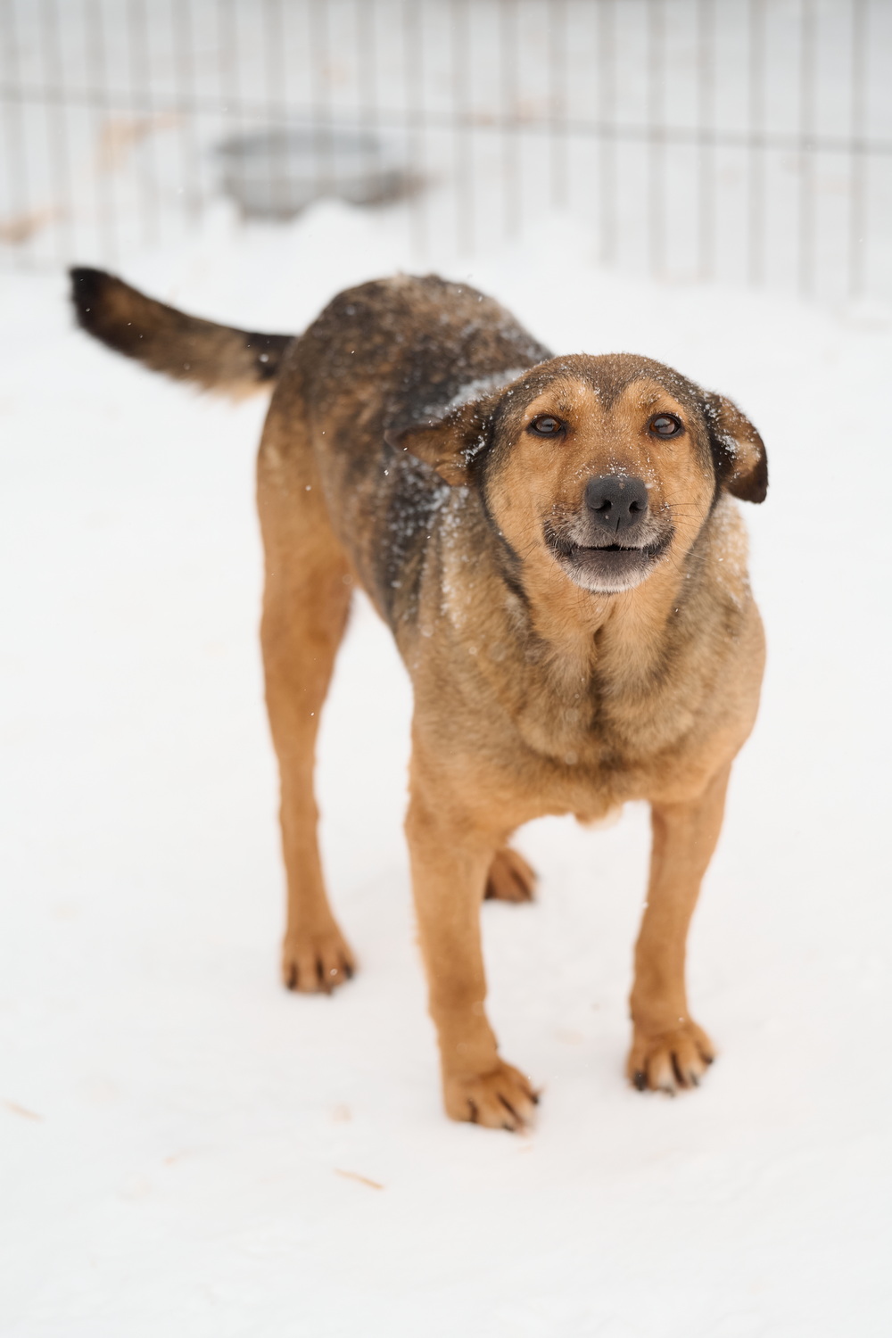 ph: Анна Молодожён