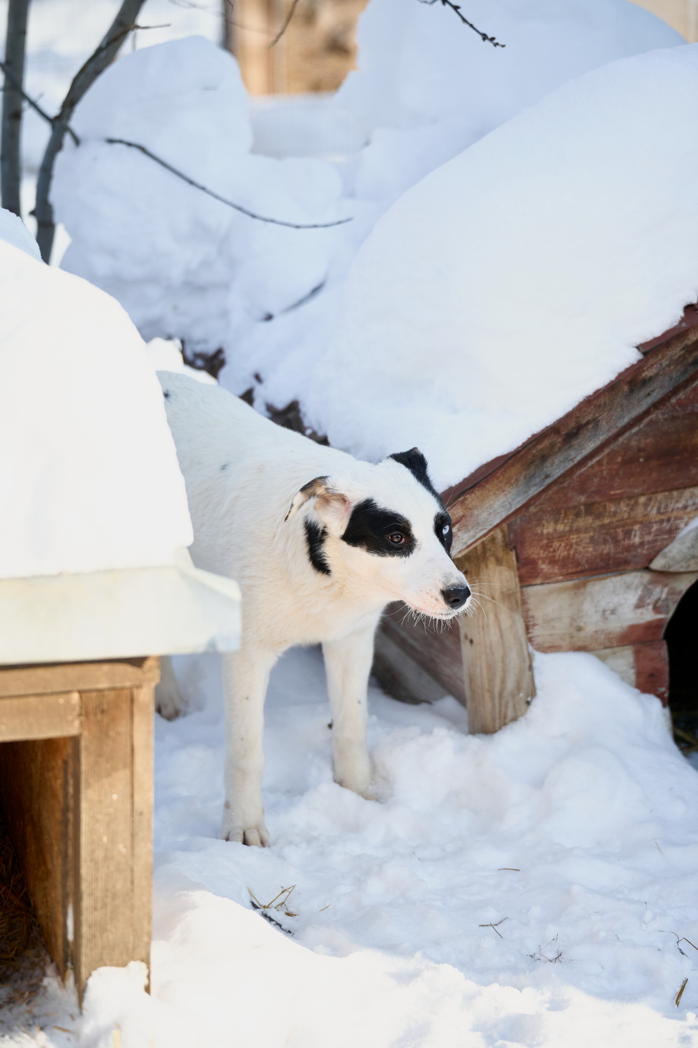 ph: Анна Молодожён