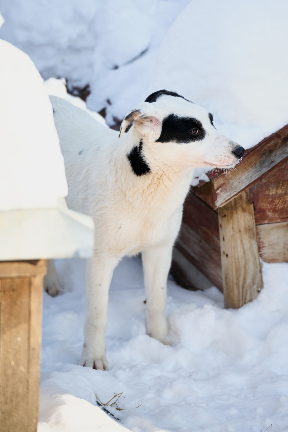 ph: Анна Молодожён