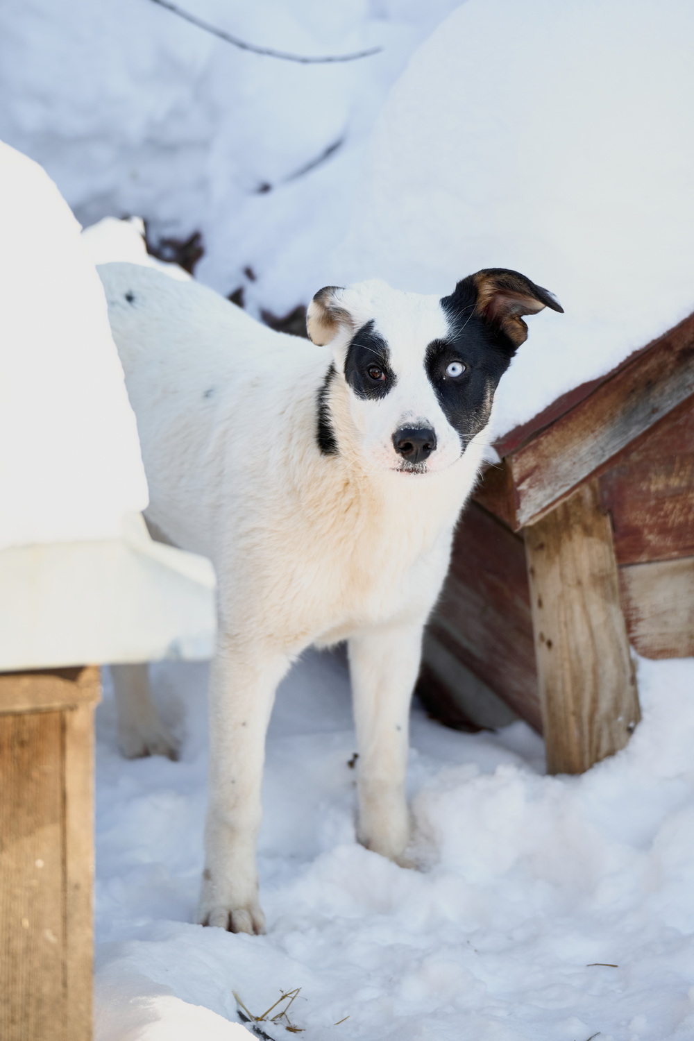 ph: Анна Молодожён