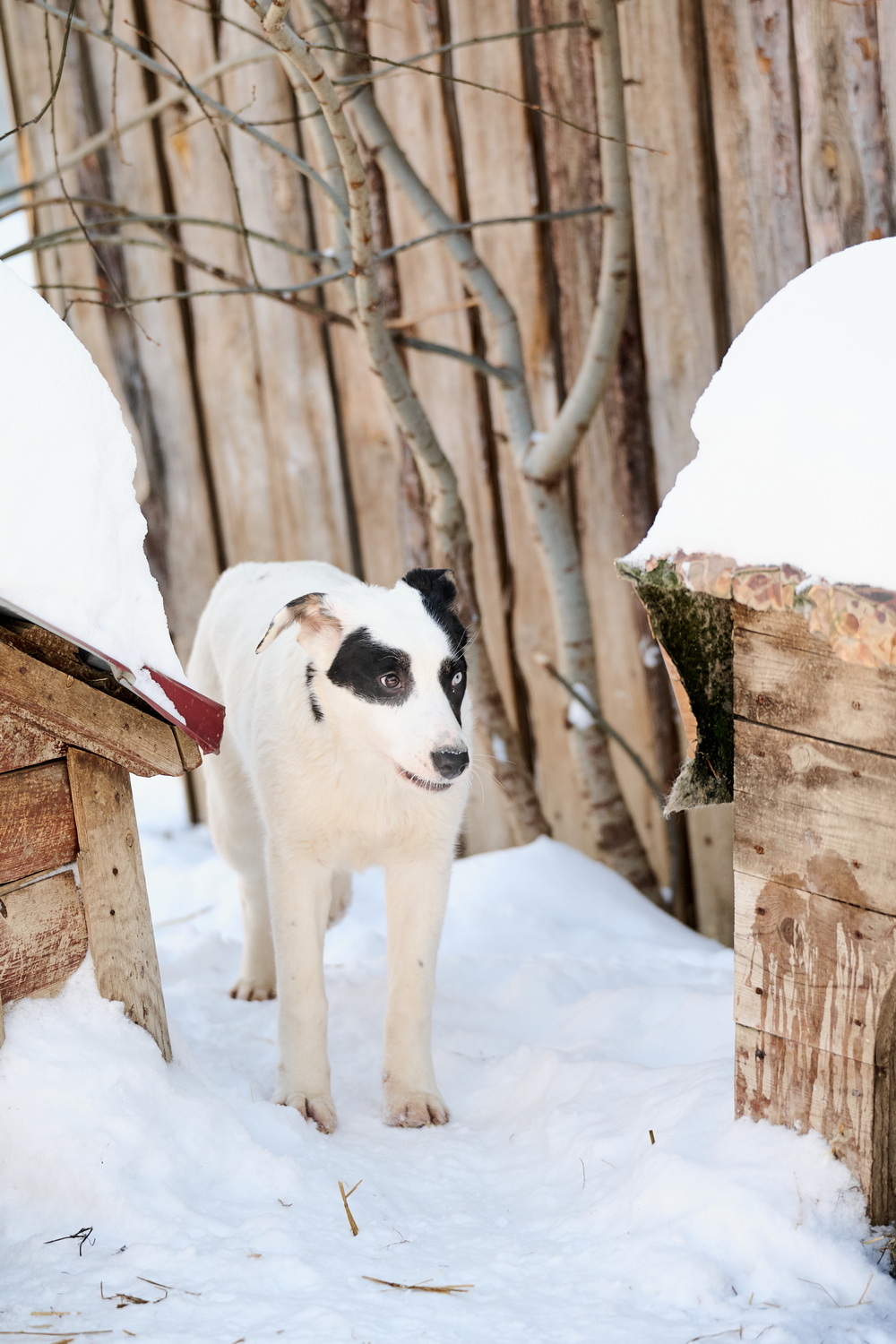 ph: Анна Молодожён