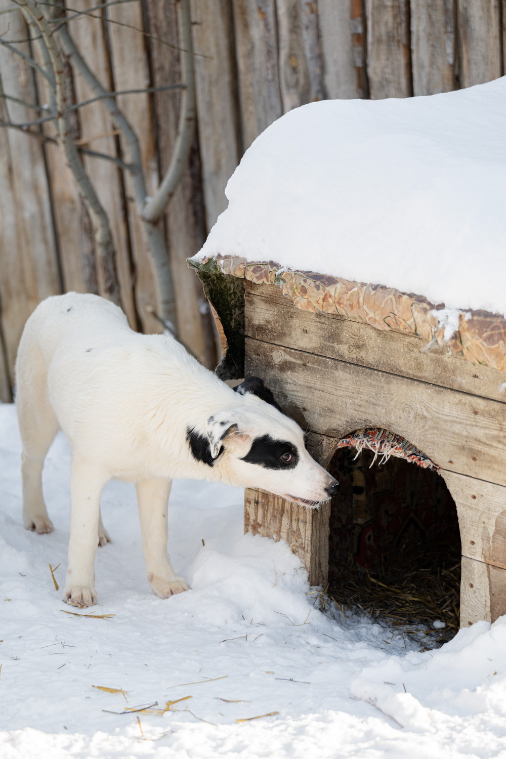 ph: Анна Молодожён
