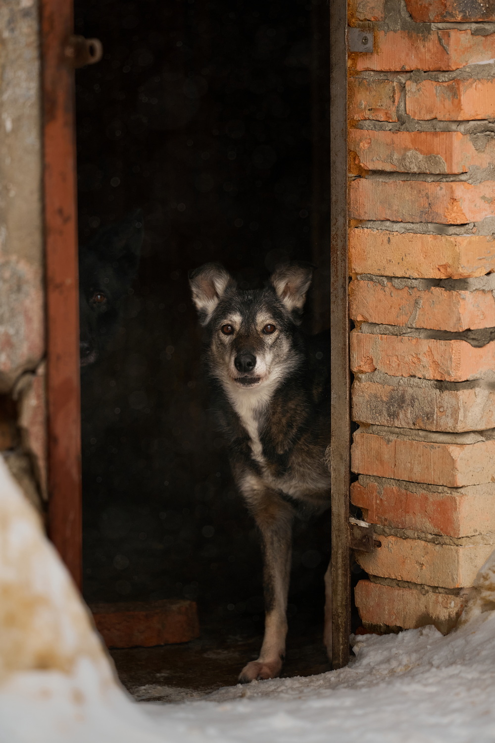 ph: Анна Молодожён