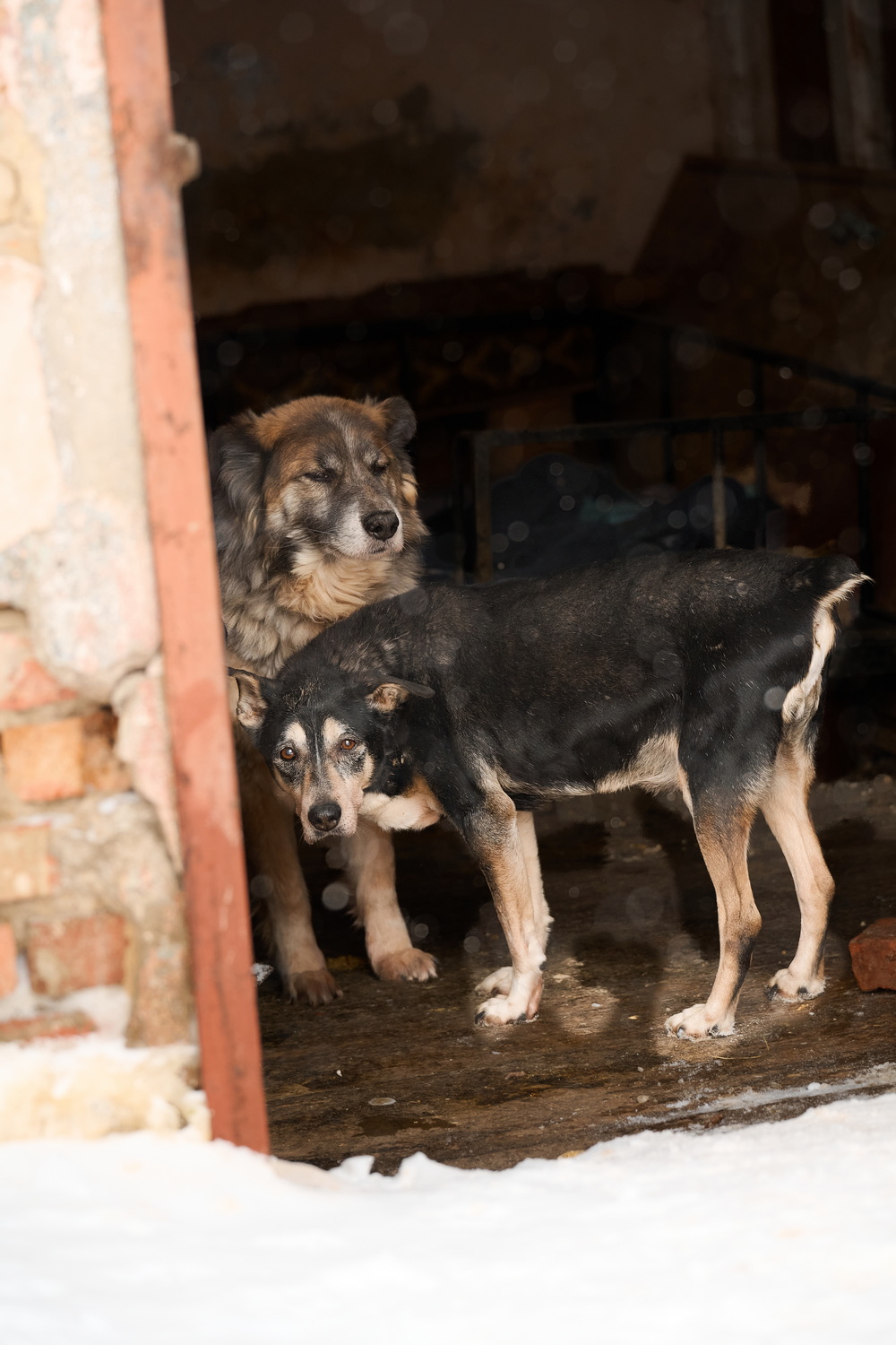 ph: Анна Молодожён