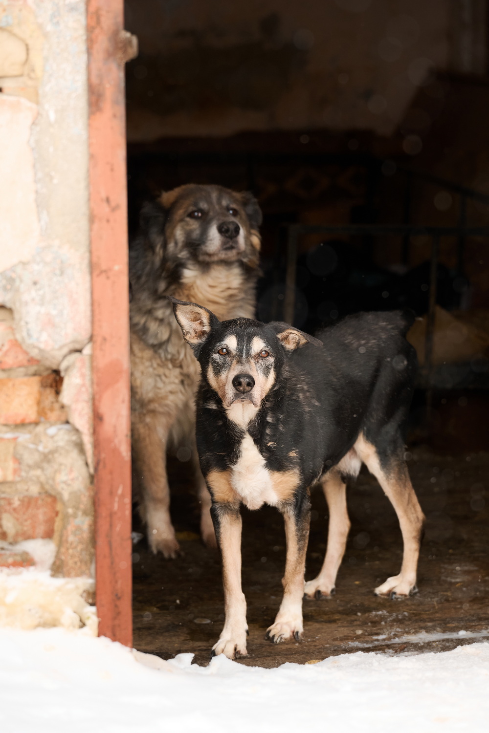 ph: Анна Молодожён