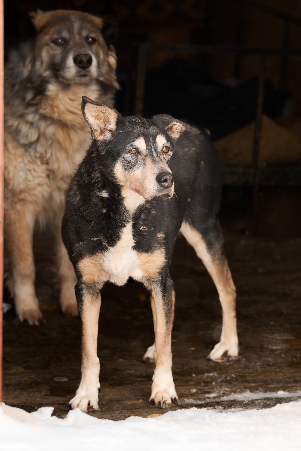 ph: Анна Молодожён