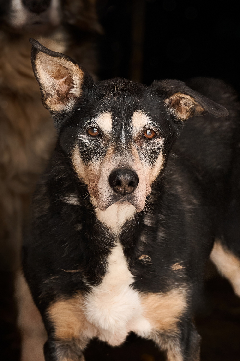 ph: Анна Молодожён