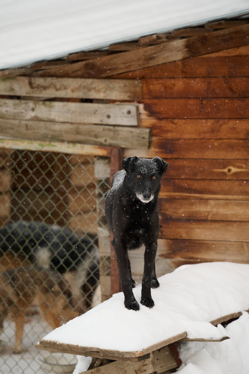 ph: Анна Молодожён
