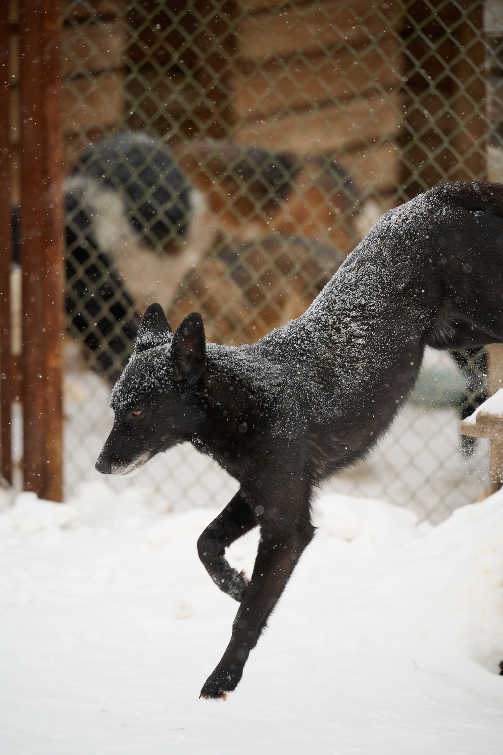 ph: Анна Молодожён