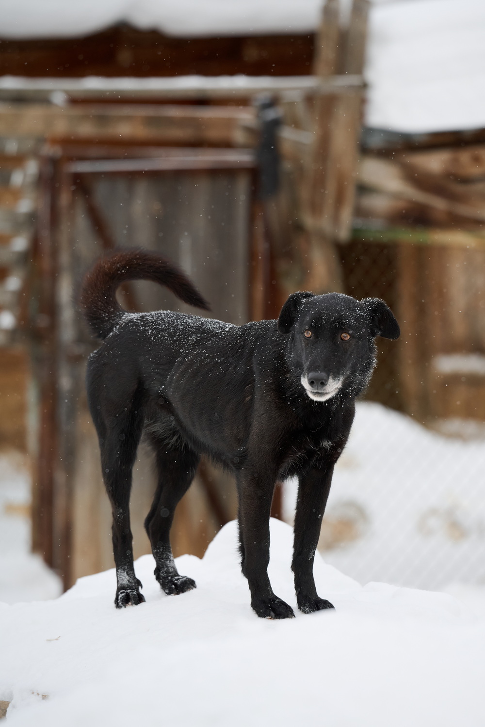 ph: Анна Молодожён