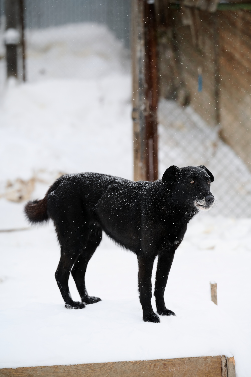 ph: Анна Молодожён