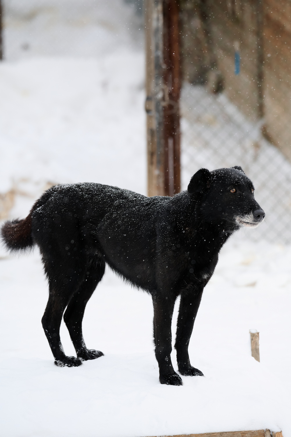 ph: Анна Молодожён