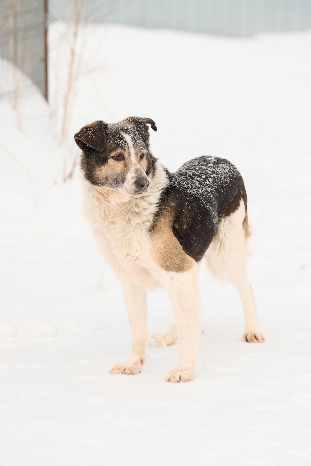 ph: Анна Молодожён