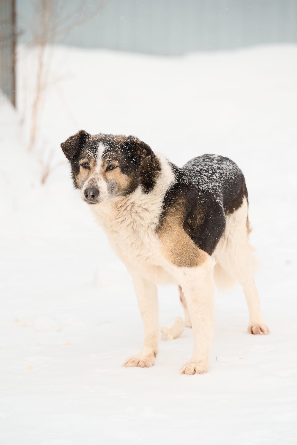 ph: Анна Молодожён