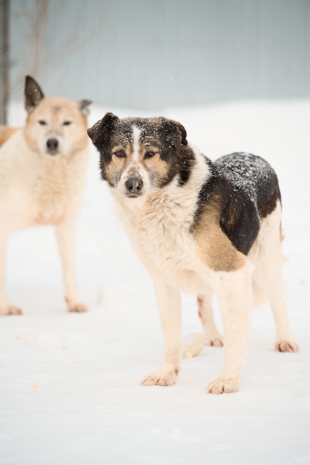 ph: Анна Молодожён