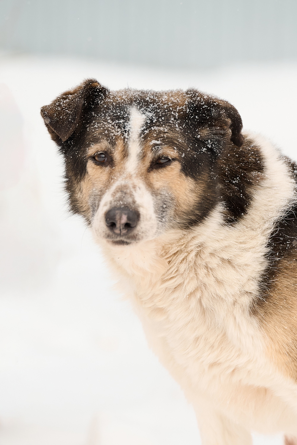 ph: Анна Молодожён